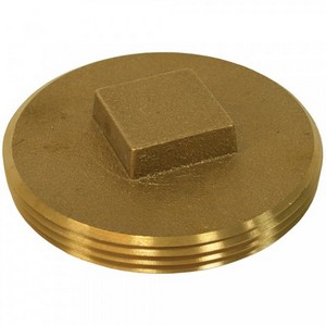 BRASS CO PLG 2 RH